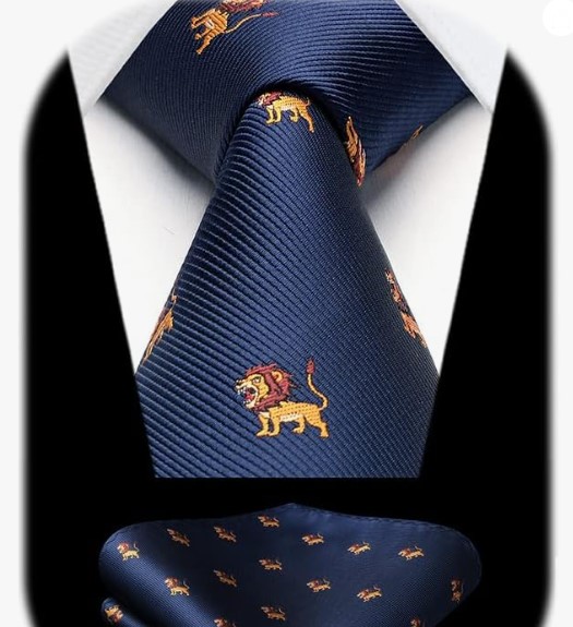 HISDERN Corbatas para Hombre con Motivo Animal Modernas Elegante Conjunto Corbata y Pañuelo de Boda Business