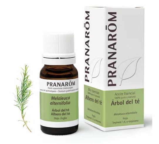 Pranarôm Aceite Esencial de Árbol de Té 10ml